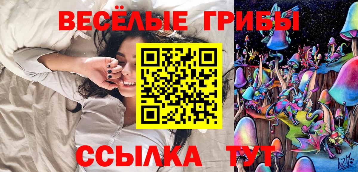 Губкин  как найти   Вход с VPN  Псилоцибиновые грибы прущие грибы 
